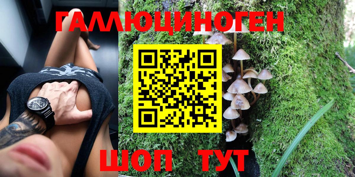 Псилоцибиновые грибы Psilocybine cubensis Саратов